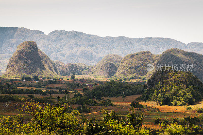 古巴Vinales Valley的风景照片